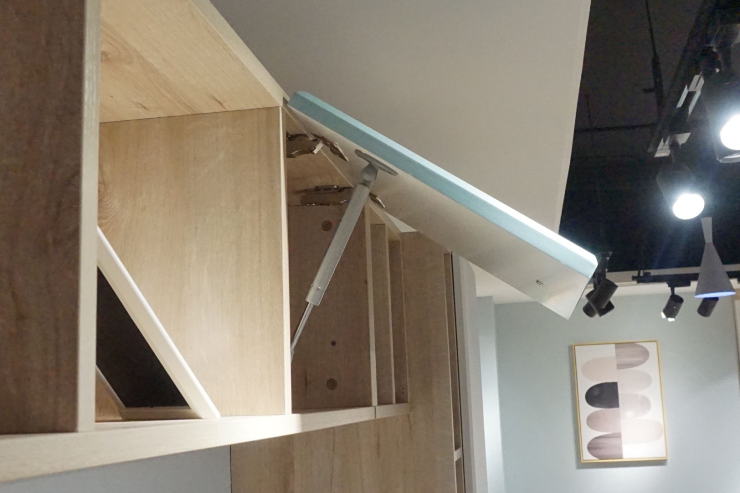 莱茵艾格定制家具,莱茵艾格全屋定制家具效果图