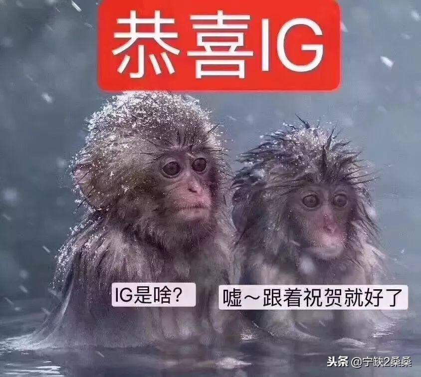 别人眼里的王思聪和真实的王思聪,你真的了解王思聪吗