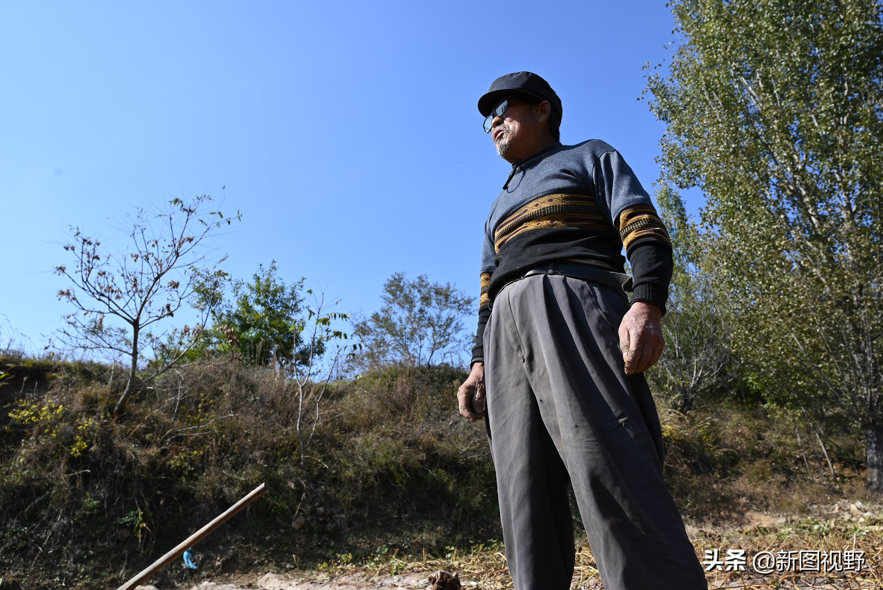 70岁老人养100条流浪狗,80岁老人独居深山养了两只鸟作伴
