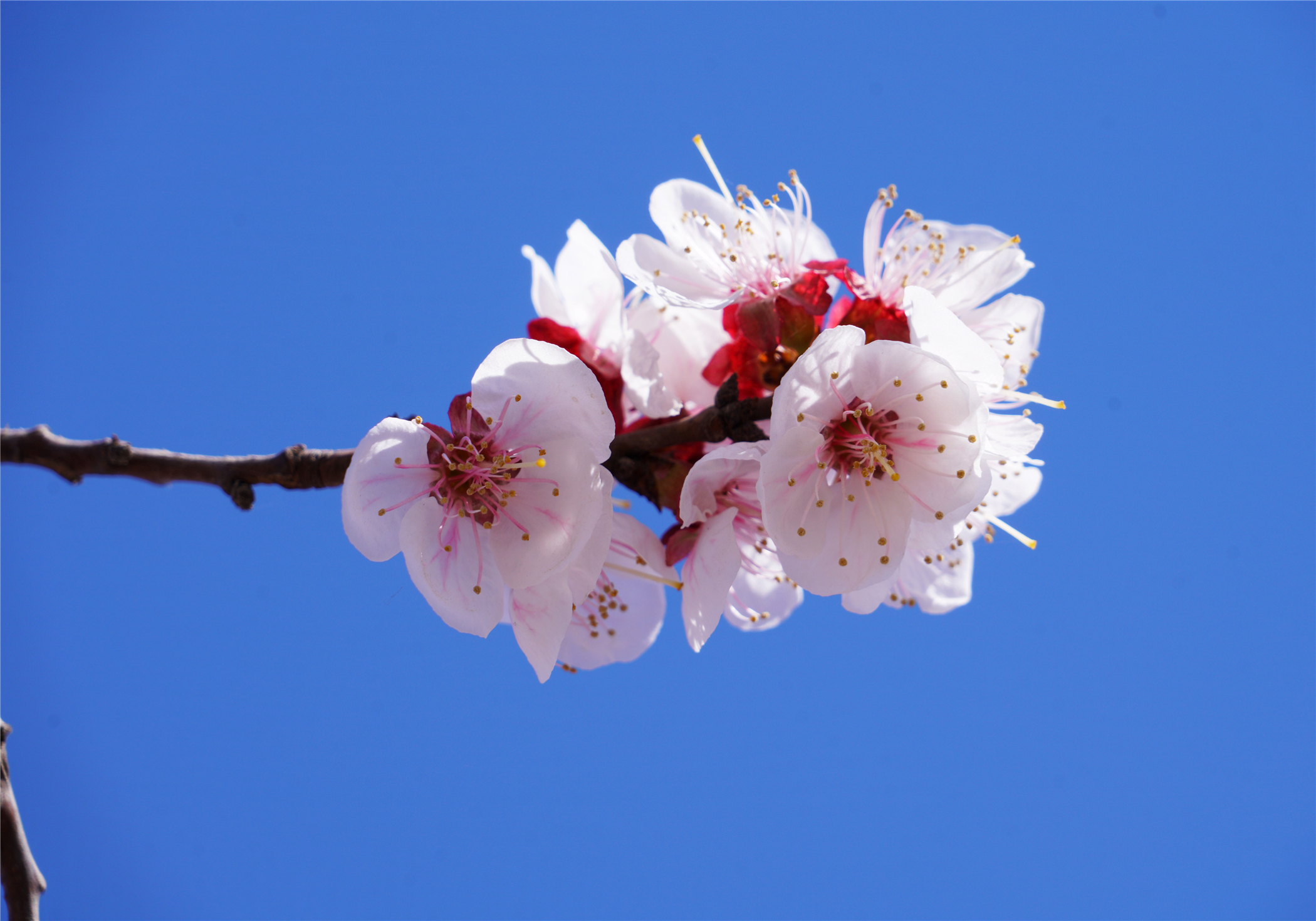 河北这座文旅小城值得一去,河北的一座小县城