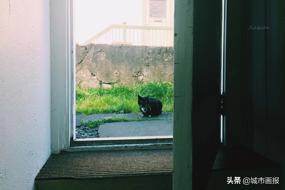 30岁还有机会出国工作吗,30岁有没有可能年薪百万