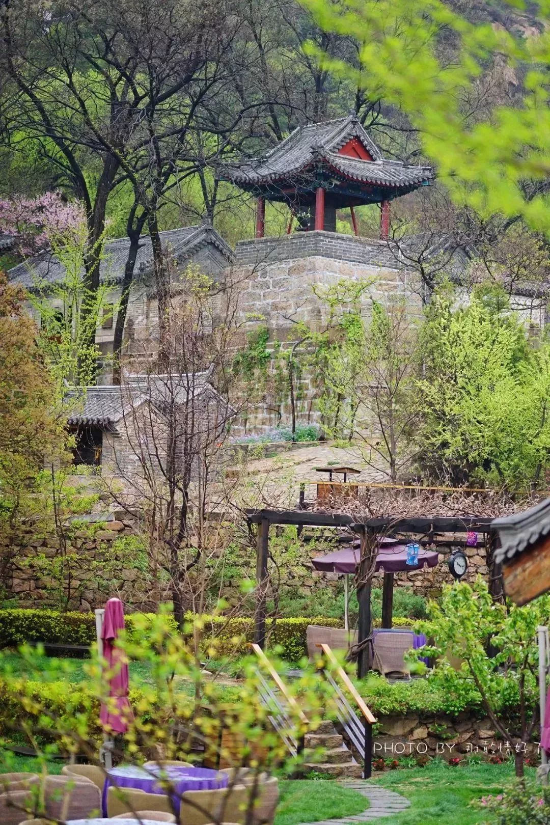 北京京郊童话树屋,台湾神奇的树屋