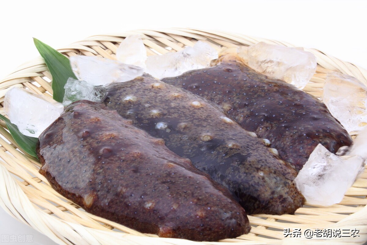 湿海参和干海参价格差别这么大,干海参与即食海参价格差别很大