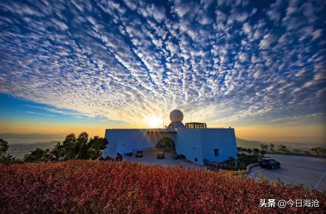 酒店团购厦门嵩屿码头,海沧嵩屿码头附近酒店