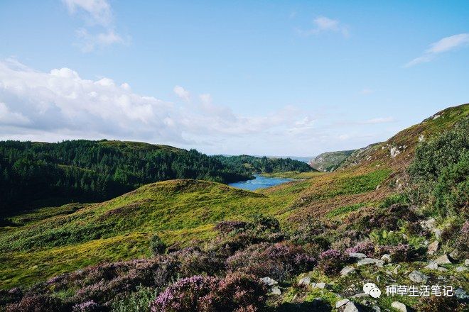 自驾东海一号环海公路,全球十大最美自驾游路线