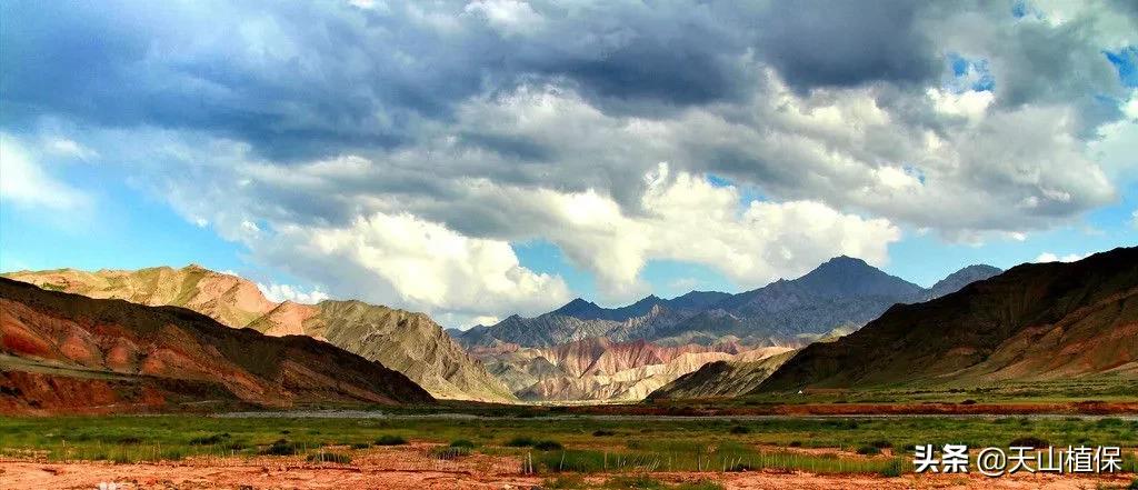 *疆新**克州，向全世界发出邀请！即将涌来大批人马