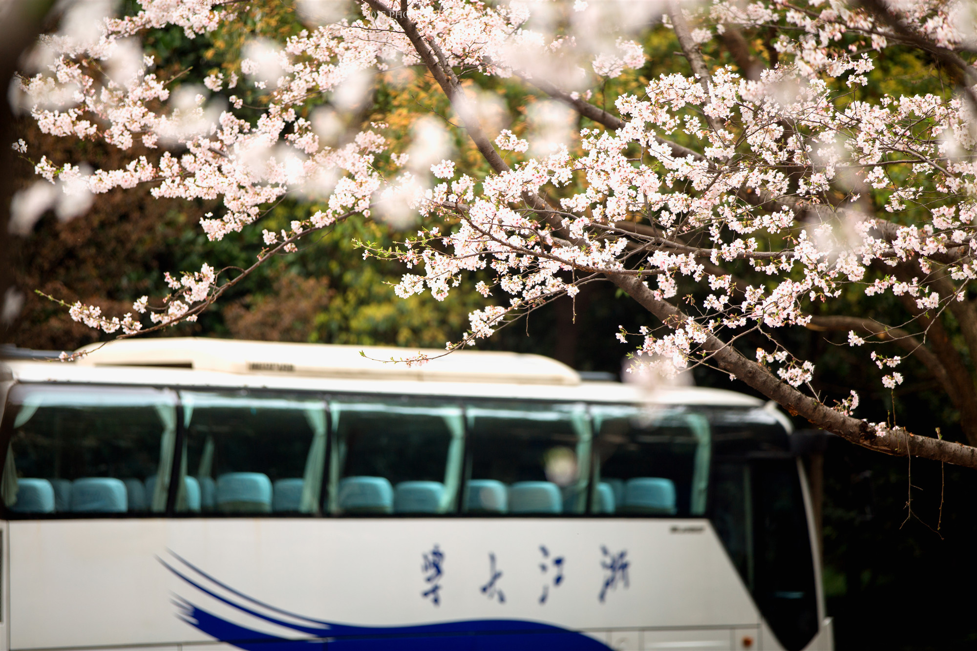 浙江大学招生政策解读,浙江大学国际本科3+1招生简章