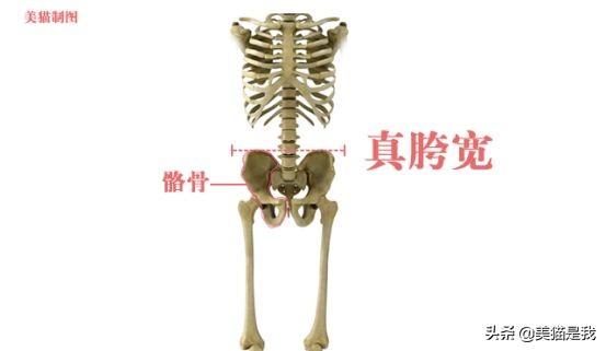 你不是腿短，而是加胯宽，科学矫正假垮宽，修炼长腿第一步！