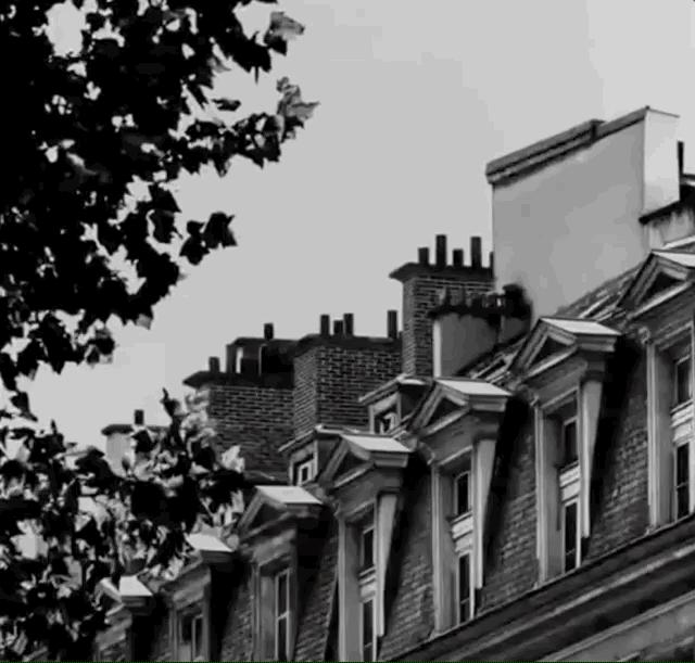 香奈儿2023新款火爆包包,香奈儿超仙包包