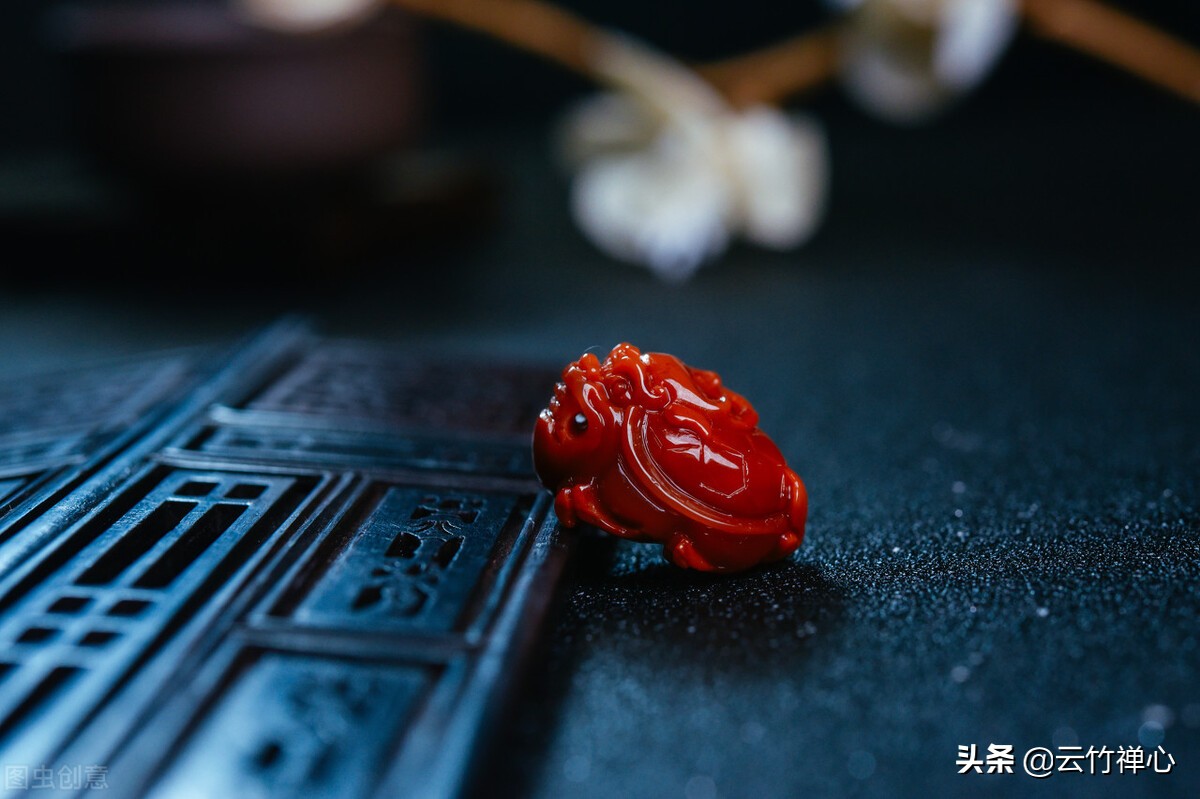 喜欢珊瑚的人什么性格,喜欢珊瑚是什么原因