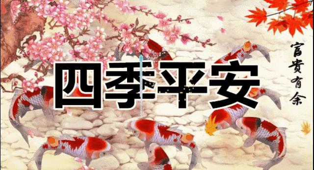 开光本命佛能保佑平安吗,2024太岁护身牌开光