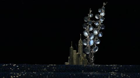 tiffany最美的时光,tiffany的美好时光