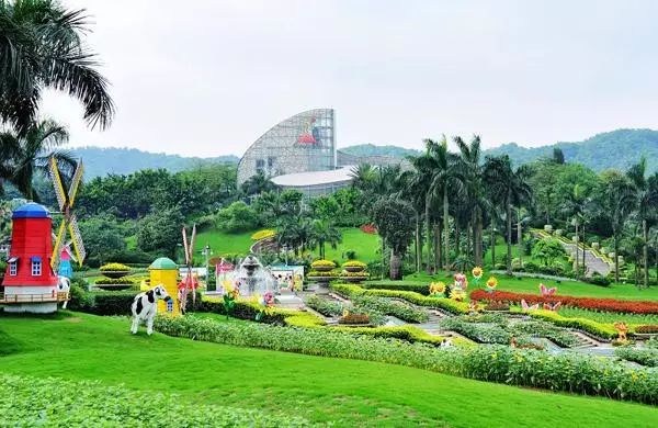 广州适合情侣旅游的景区推荐,广州情侣必去的旅游胜地