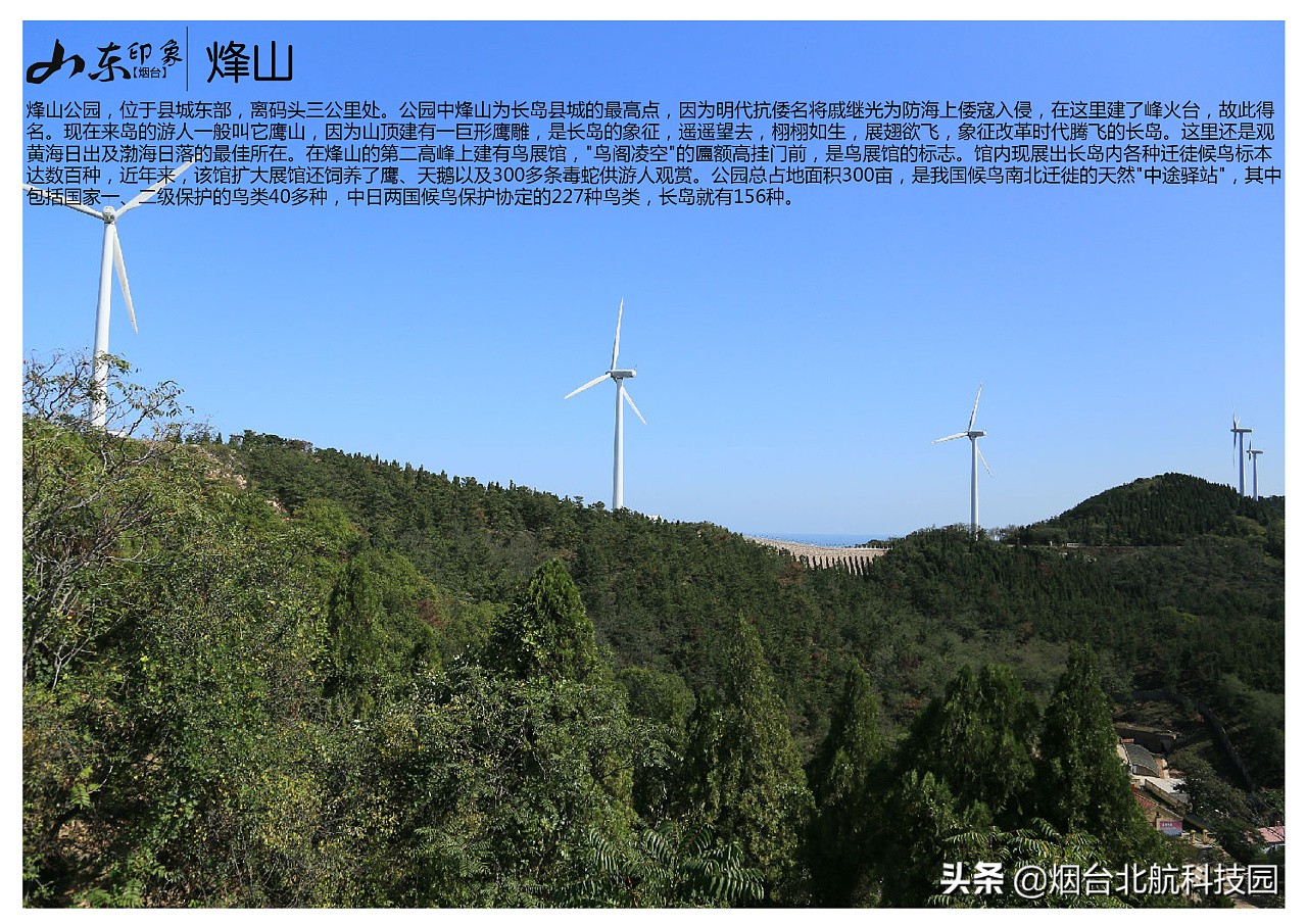 烟台游玩十大必去景点,烟台最坑人的三个景点