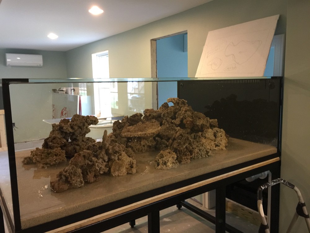 经典海水礁岩生态缸分享，180×120×60厘米三面观赏海缸