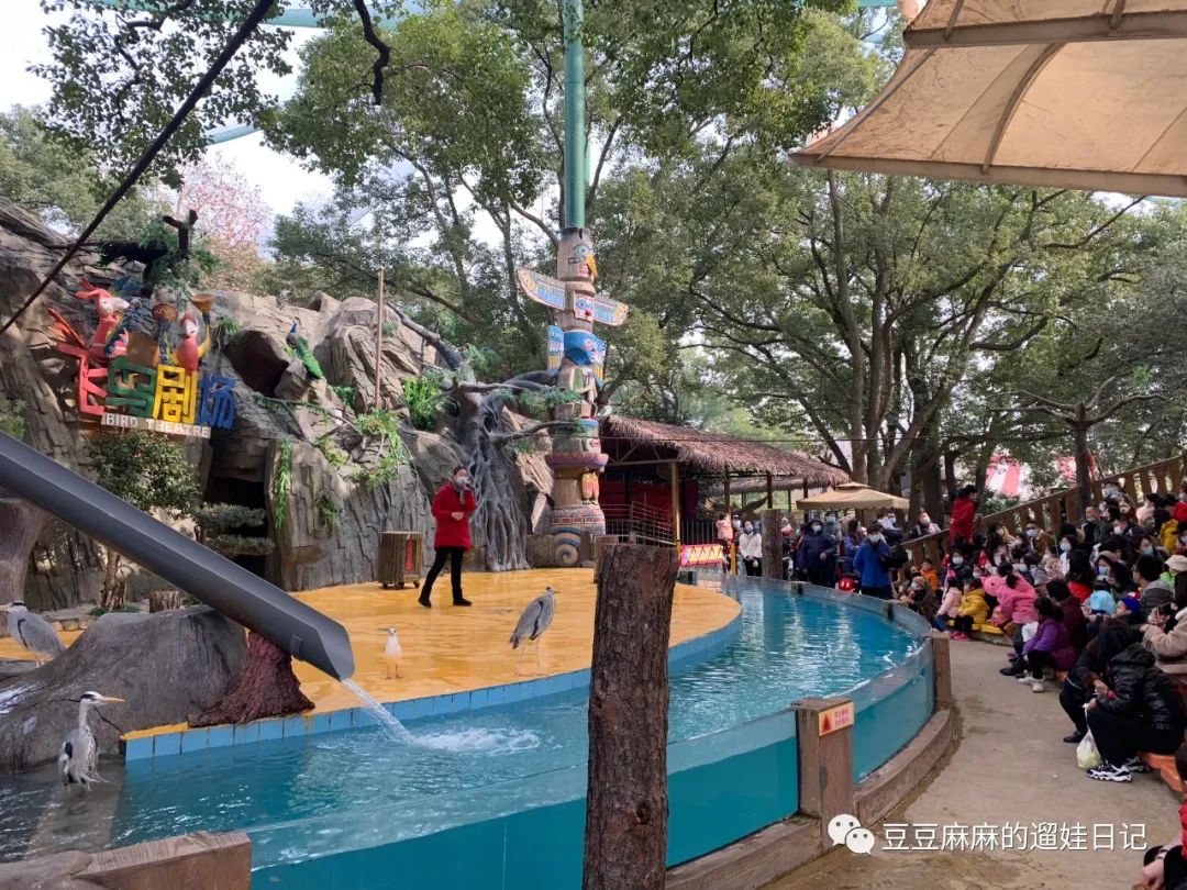 飞鸟世界和海洋世界,童话世界的小动物