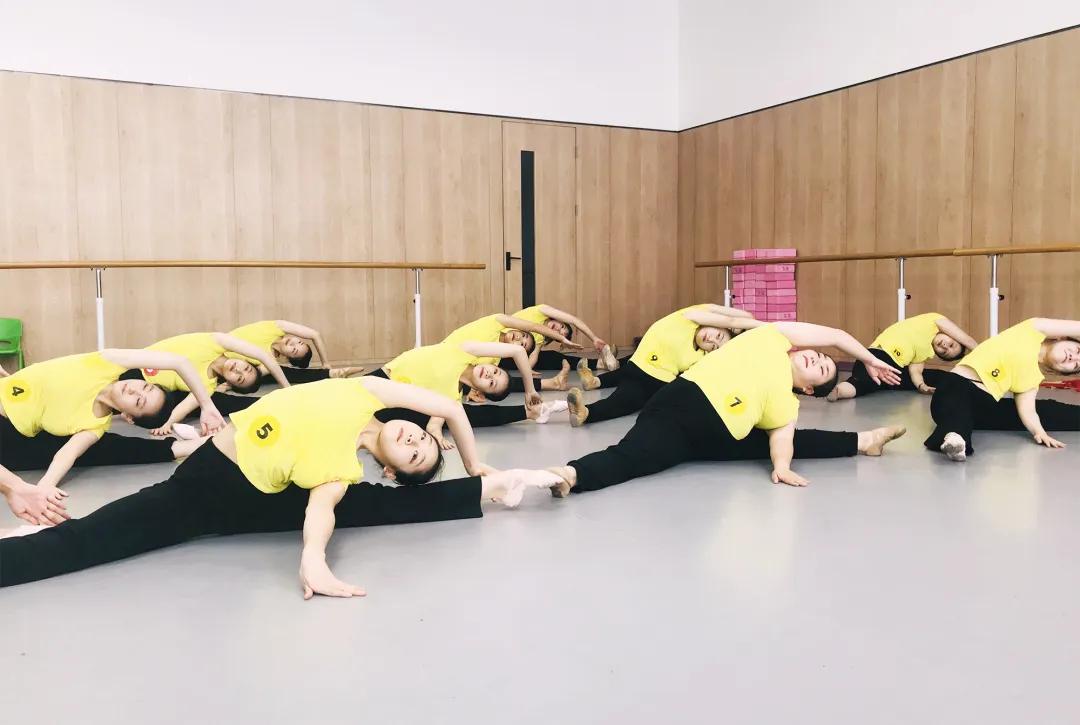 舞动长安·欣欣向荣|西安考区师资培训精彩呈现