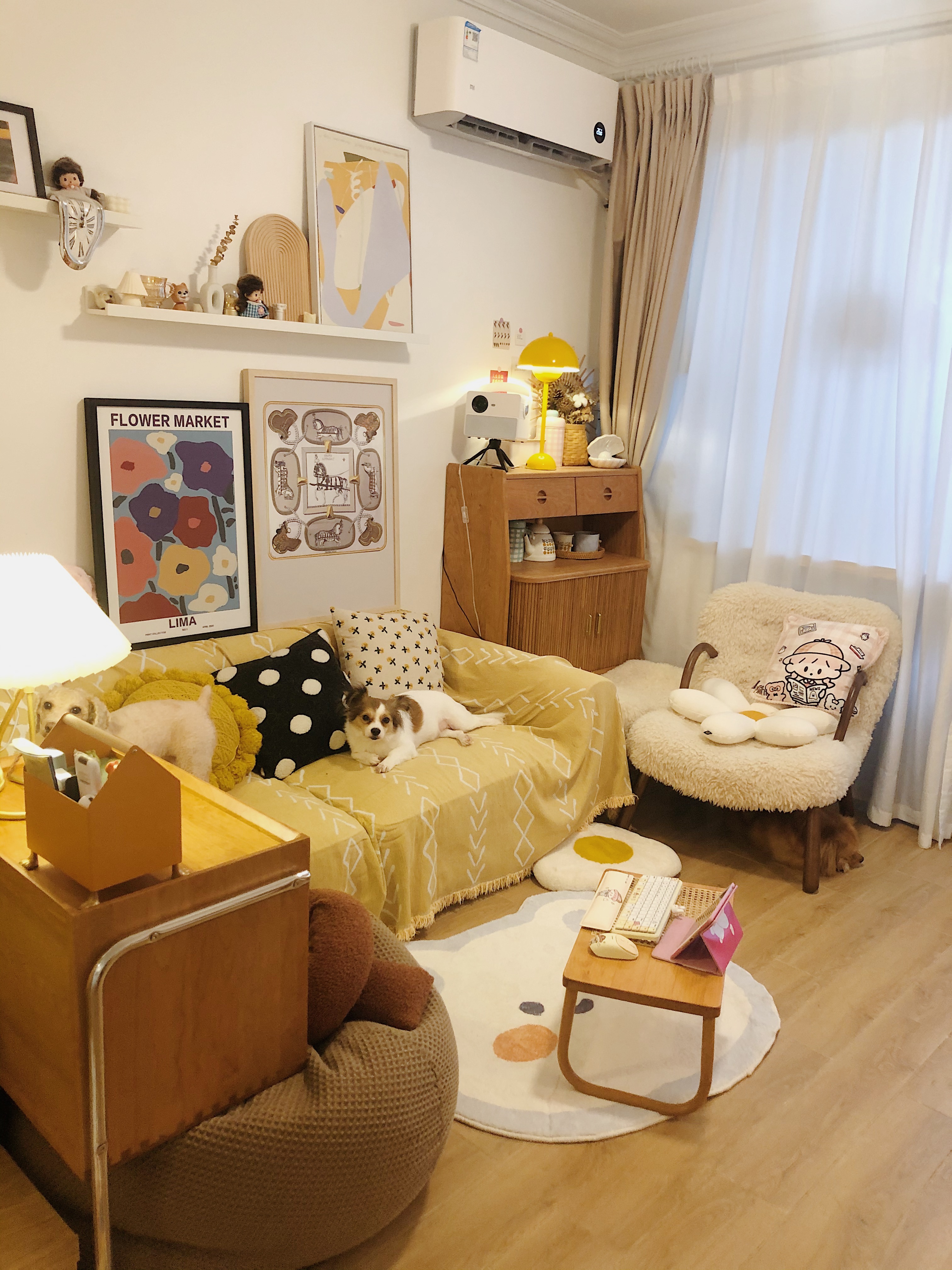 看完她的家，我才知道独居生活有多美好