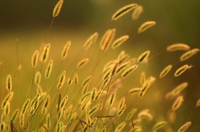 人生落魄时，要学会调整心态