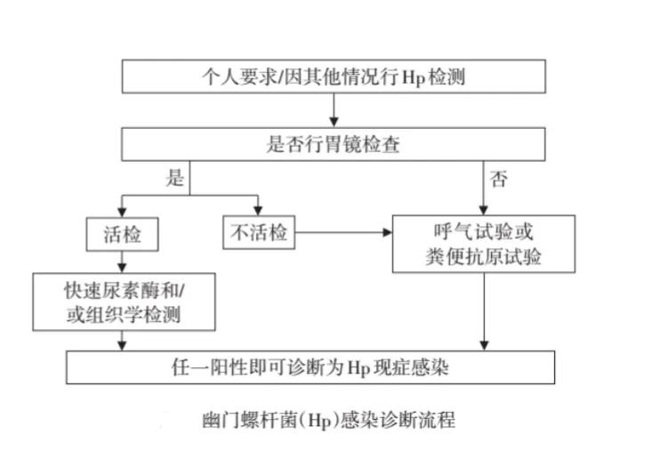 幽门螺杆菌c14阳性105严重吗,幽门螺杆菌阳性500不看会变癌吗