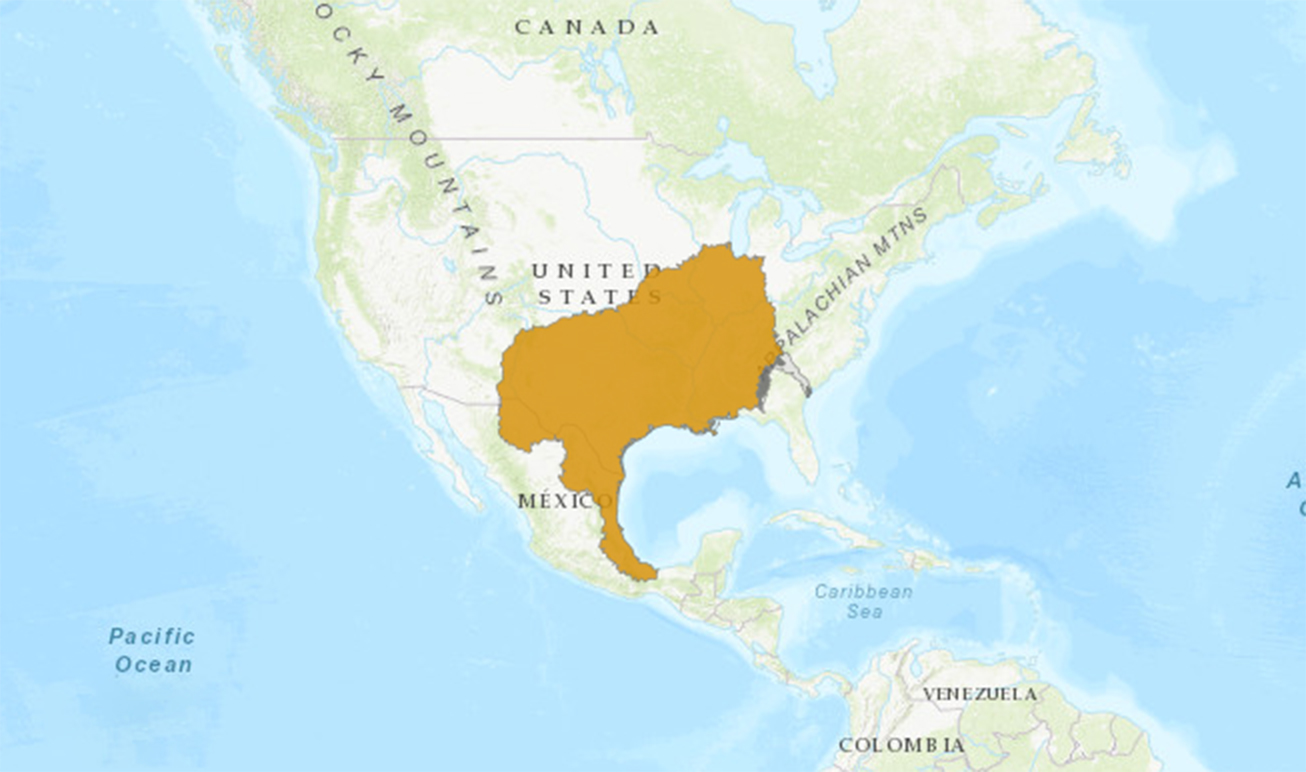 食蚊鱼能灭绝蚊子吗,蚊子物种入侵