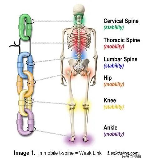 跑步跑前力量训练,跑者必练核心动作