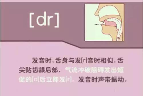 48个英语音标正确读法视频教学,英语48个音标正确发音顺口溜表