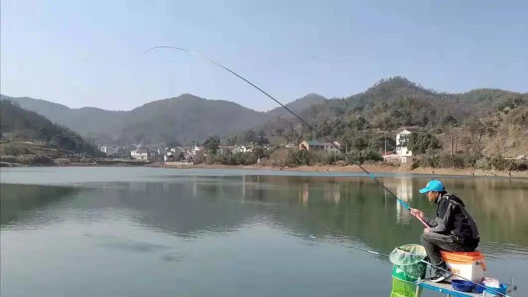 娌冮紟绔垮拰鐚涘皢绔垮摢涓ソ,娌冮紟椴ょ娴嬭瘎