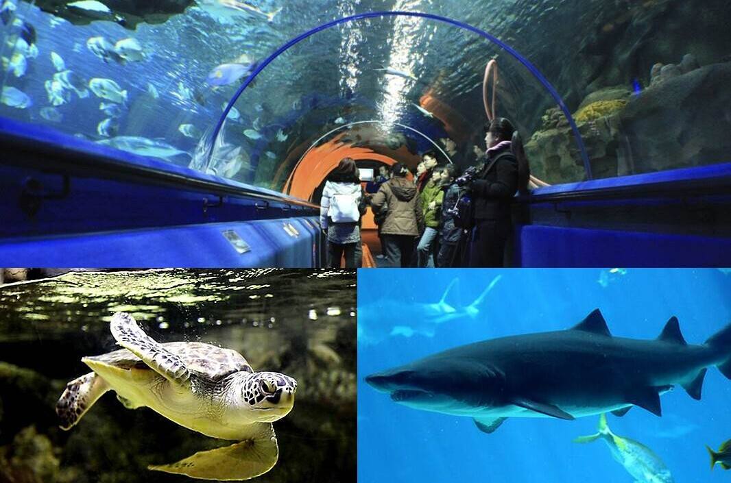 北京工体富国海底世界周一营业,北京工体富国海底世界旅馆