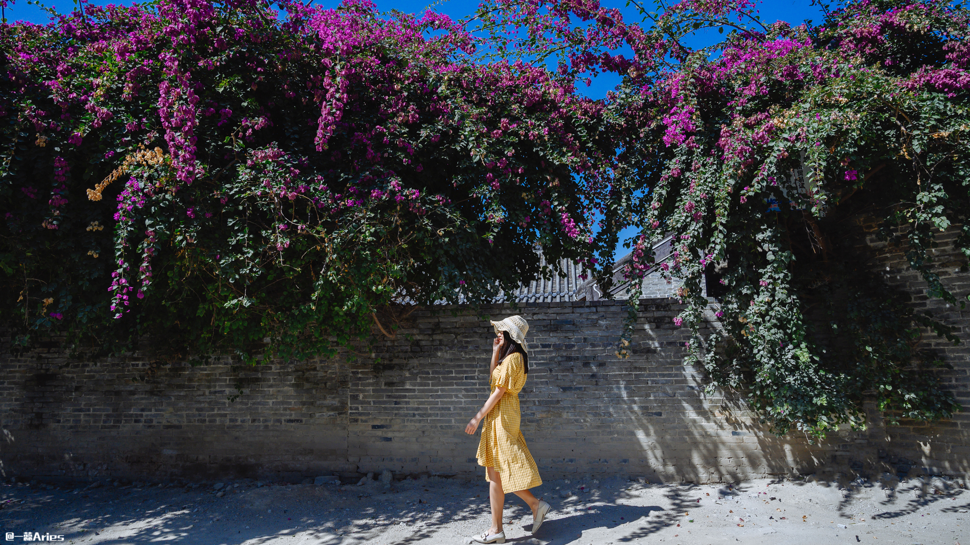 三亚旅游业恢复到旺季的火爆视频,三亚旅游业什么时候能恢复正常