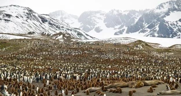 2019中国护照最新免签、落地签攻略，拎包就走！（上篇）