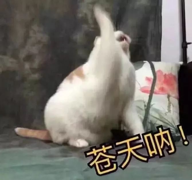 双十一之前的我,双11手忙脚乱购物分享