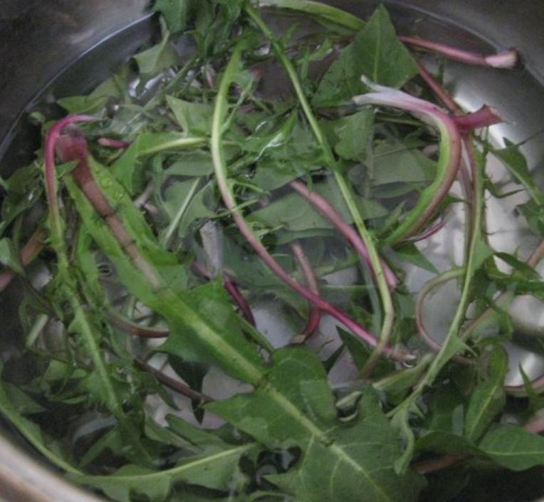 自制蒲公英茶是老的好还是嫩的好,自制蒲公英茶和买的有什么区别