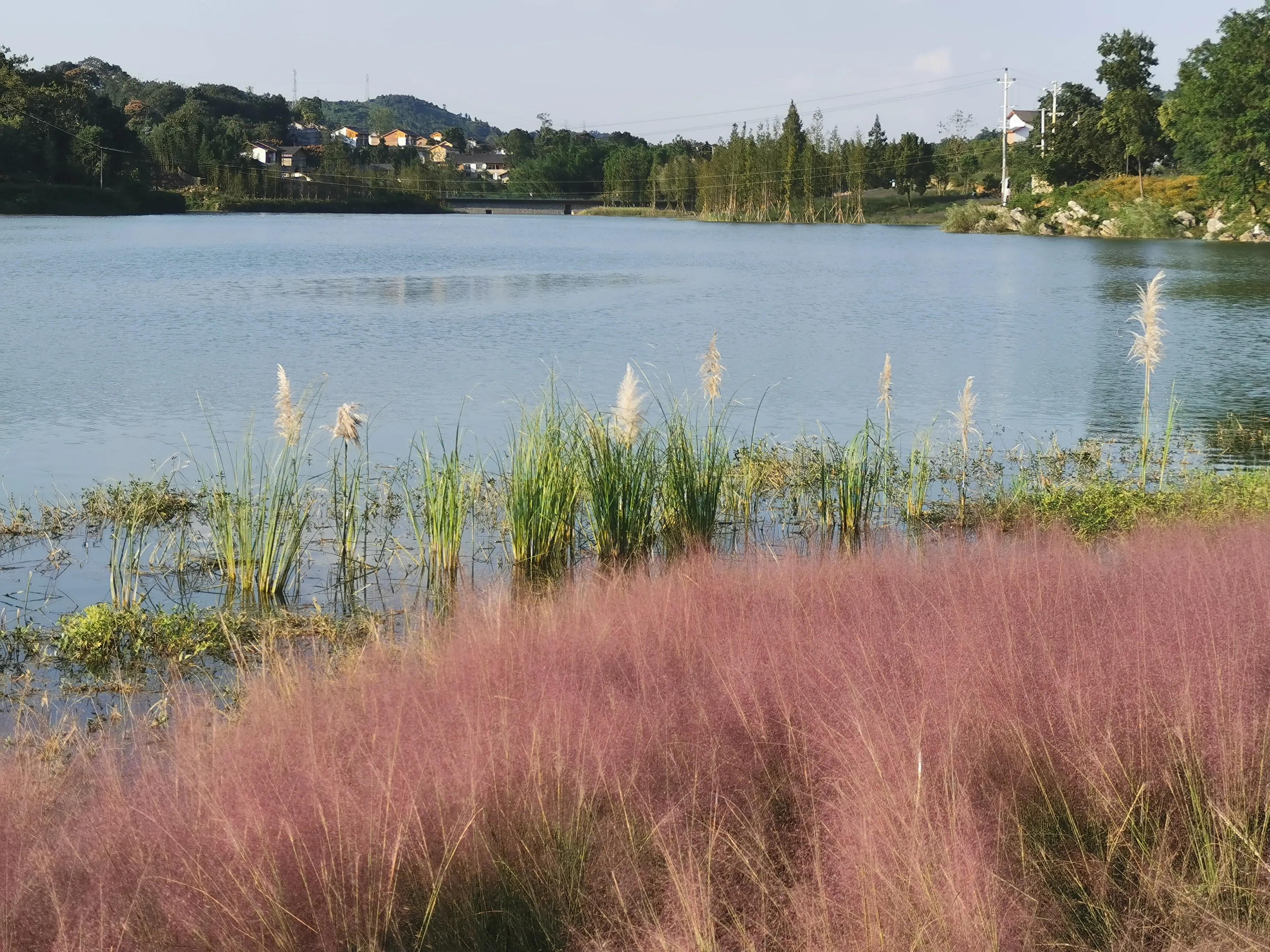 游美景作文,游斐然湖文案