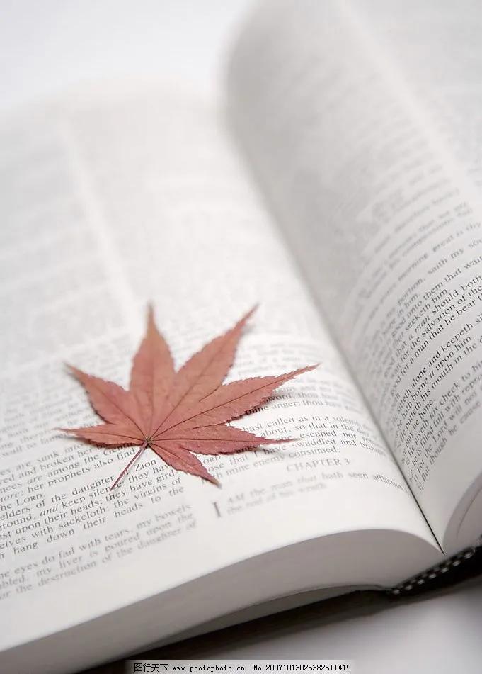 创业必看樊登推荐,低成本创业樊登解读