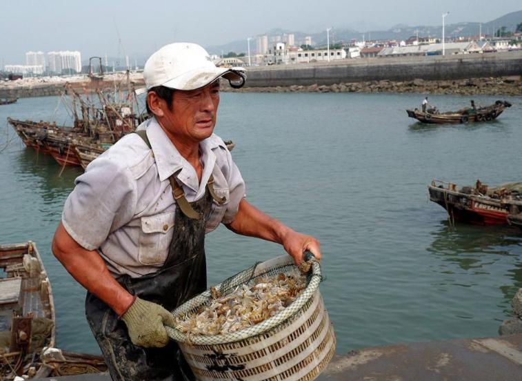 美方诬称中国“非法捕捞”,中方驳斥美认定非法捕捞