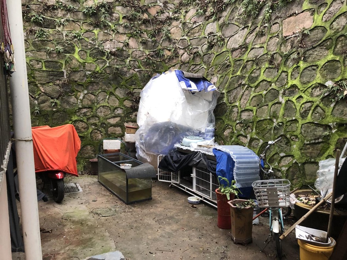 原南京医学院女学生被杀破案始末,杀人回忆女学生被杀