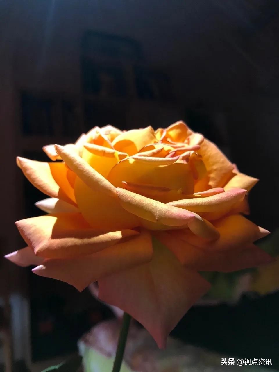 彩色的梦粉笔艺术字,彩色的梦语文课