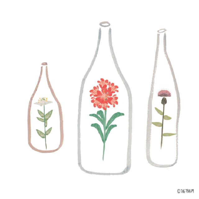 社区团购招募团长直播,通辽团购达人招募