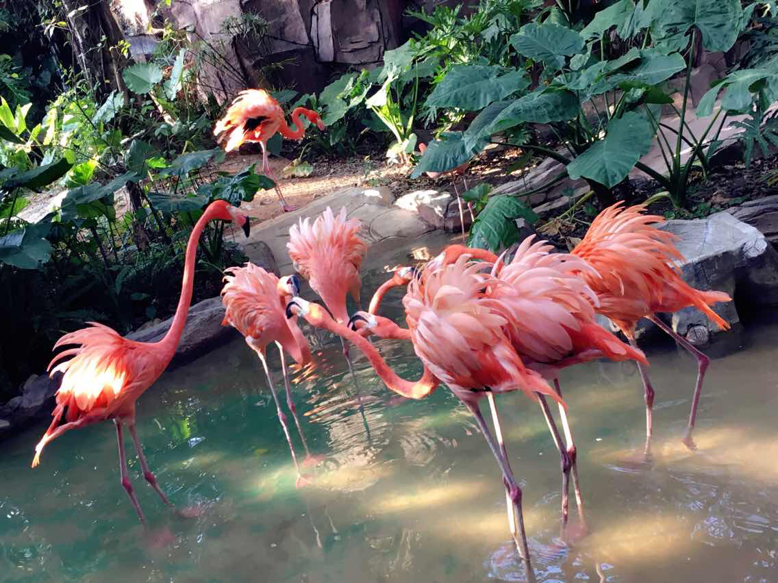 济南千佛山一日游最佳攻略,佛山周边泡温泉的地方一日游
