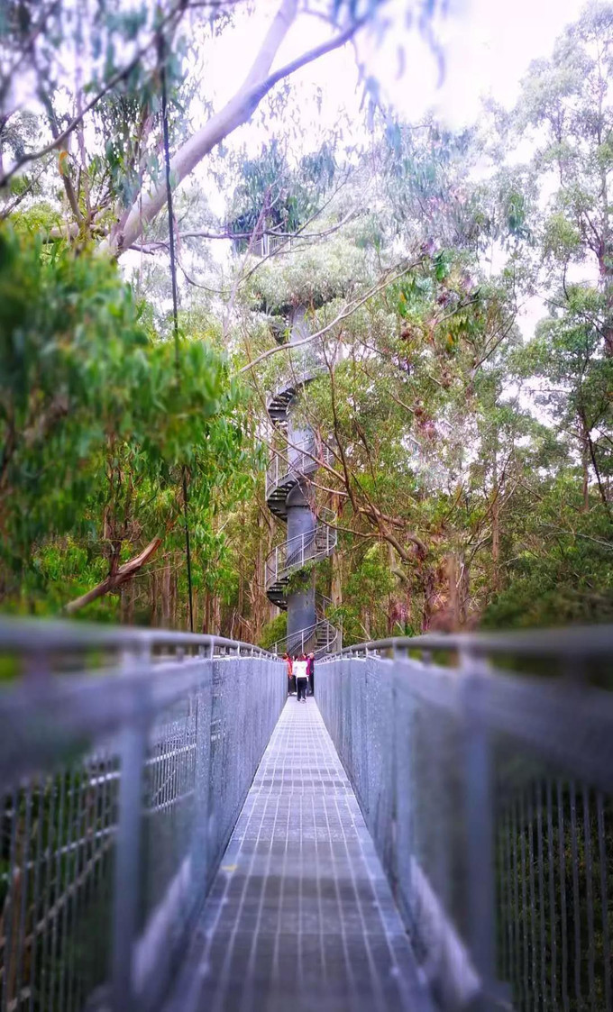 澳大利亚二年游学,去澳洲游学