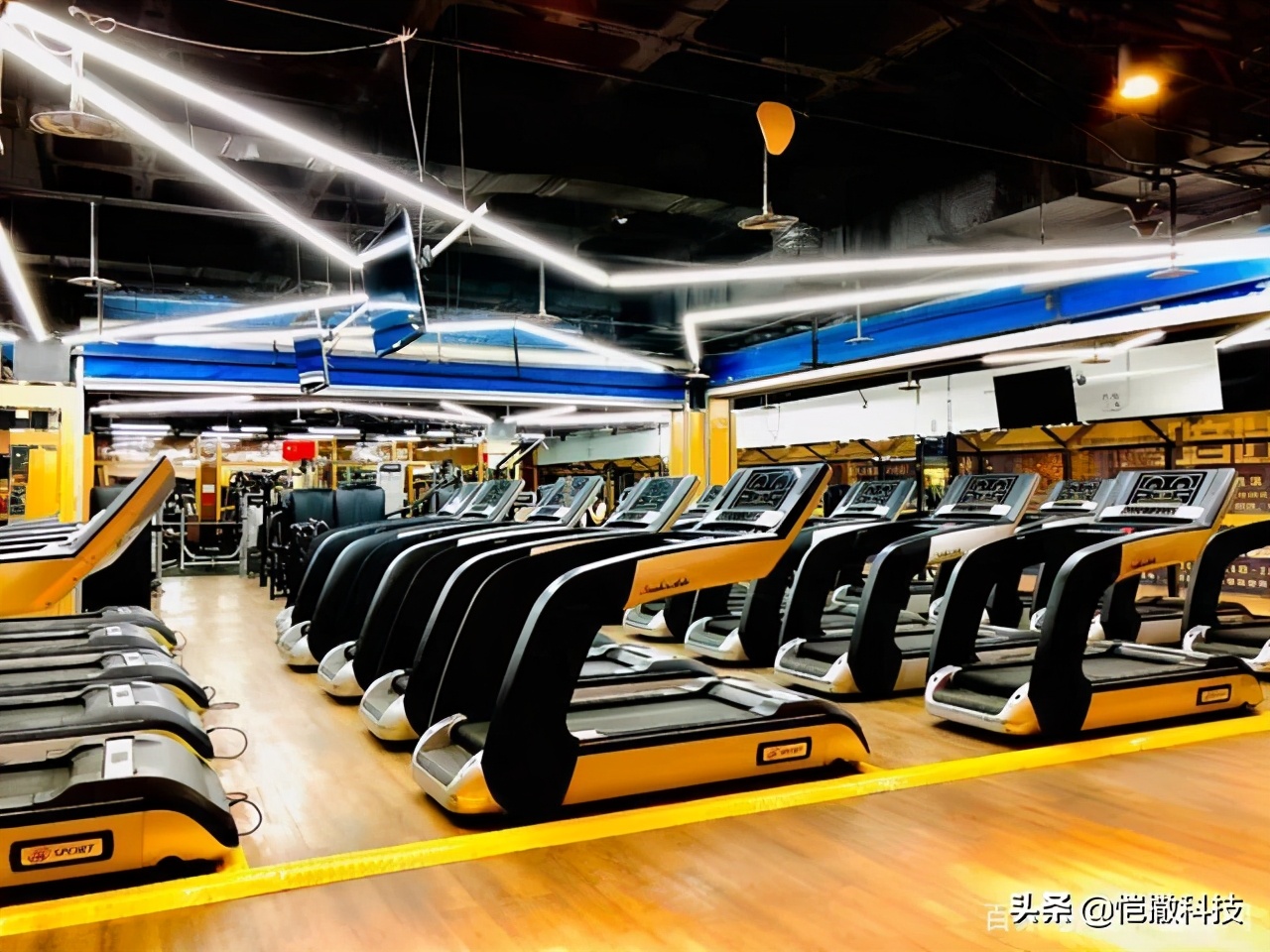 德州健身房十大排名,德州口碑最好的健身房