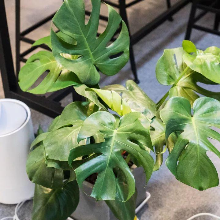 高空自习室深圳,深圳高空自习室