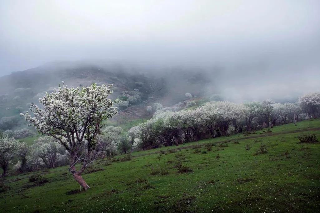塔城市凉快的公园,塔城地区避暑的地方