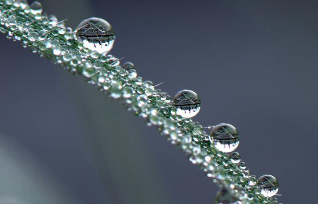 期货交易真正的难点,期货趋势交易和波段交易的取舍