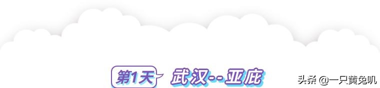 美人鱼之乡，速成老司机专场