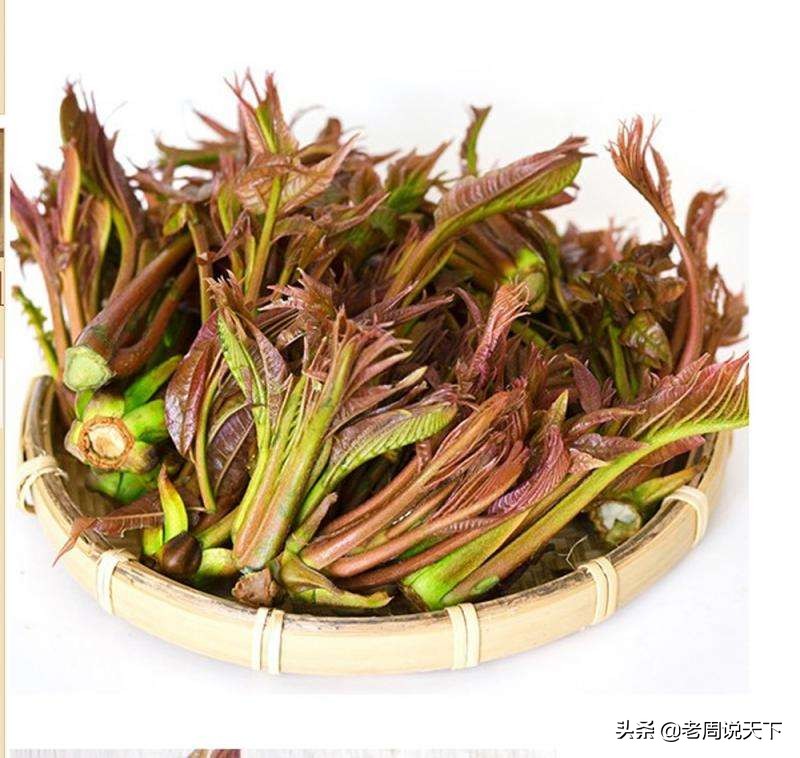 安徽太和是百强县吗,安徽省太和县各乡镇经济排名