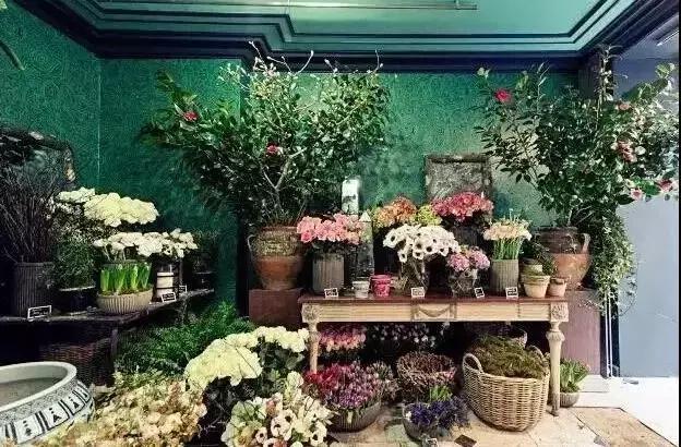 开网上花店的步骤,手把手教你开花店