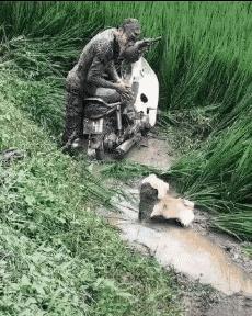 老虎：这是我准备养大吃的，你来凑什么热闹