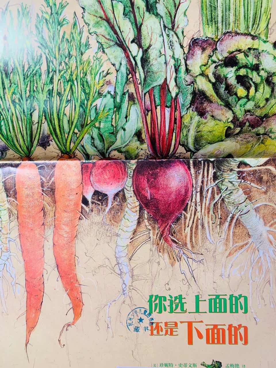 一年级绘本亲子共读视频,一年级绘本读书分享